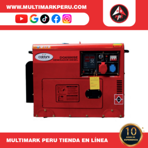 GENERADOR CATTINI DIESEL ENCAPSULADO, DG6500SE