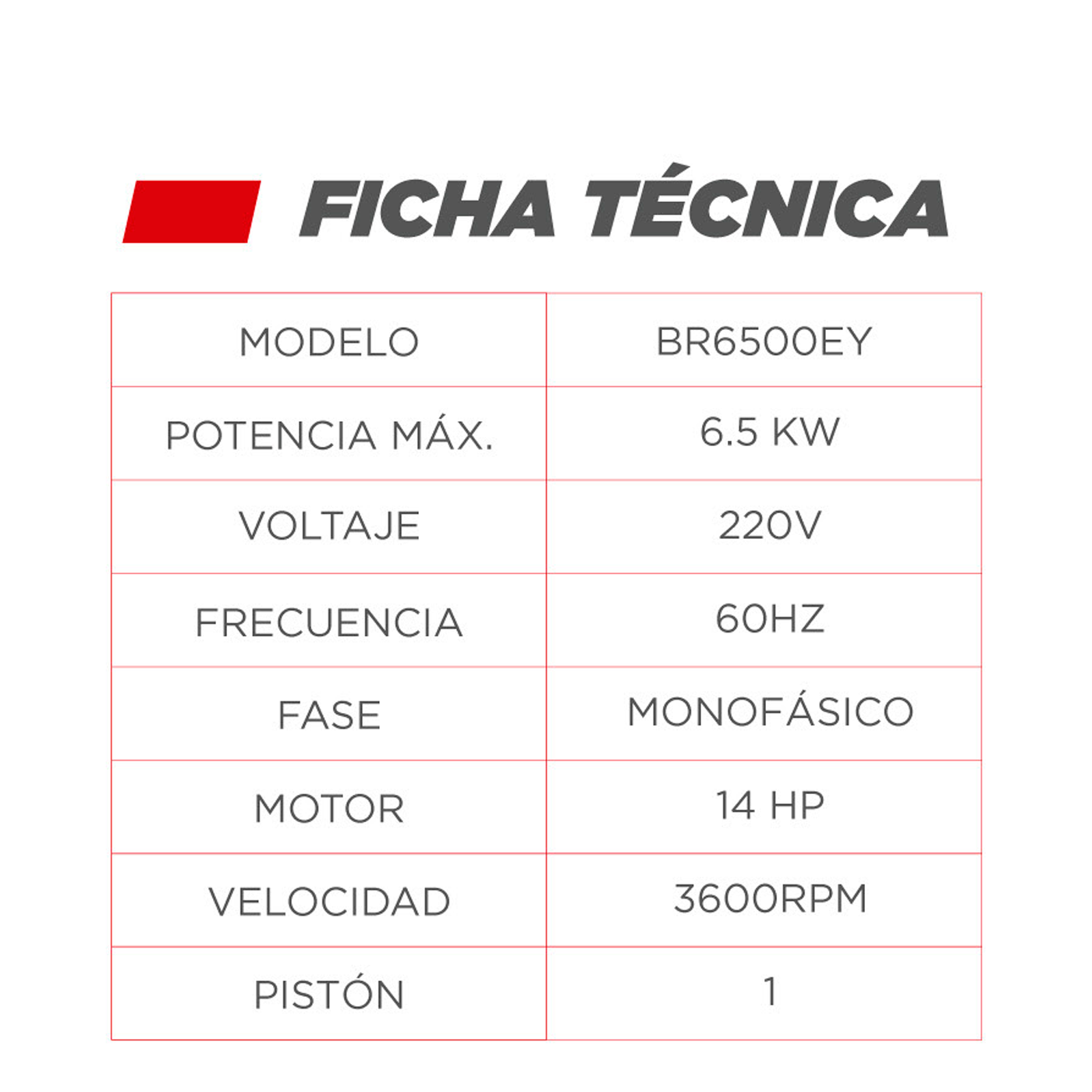GENERADOR BARI PETROLERO 6.5KW, BR6500EY – vista 2